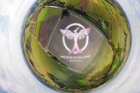 Das Symbol entspricht einer Fläche von über fünf Fußballfeldern