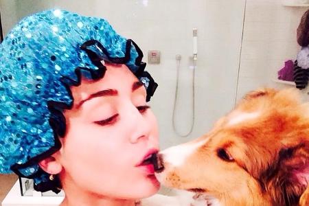 Miley Cyrus, Popo