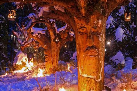 Christkindlmarkt im Zauberwald: Schweinhütter Waldweihnacht Christkindlmarkt im Zauberwald: Schweinhütter Waldweihnacht