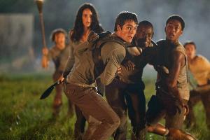 "Maze Runner": Das verrückte Labyrinth
