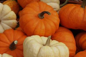 Halloween: Beauty-Tipps mit Kürbisfleisch