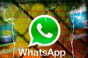 Datenschützer sehen blauen WhatsApp-Haken kritisch