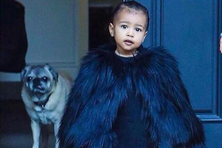 Kim Kardashian öffnet das Foto-Album: Tochter North und Hund Georgia Kim Kardashian öffnet das Foto-Album: Tochter North und Hund Georgia