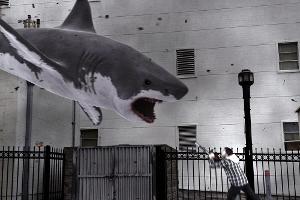 "Sharknado"-Star Ian Ziering zersägte Haie aus Geldnot