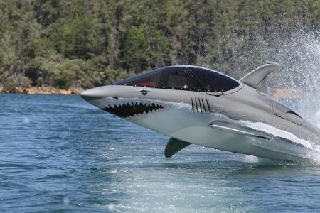 Abgefahren: Im Haigefährt über und unter Wasser Abgefahren: Im Haigefährt über und unter Wasser