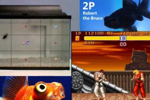 Amazon kauft "Twitch": Darum ist die Streaming-Website so angesagt