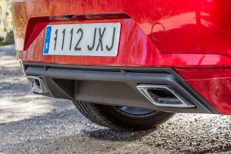 Seat Ibiza 1.0 TSI, Endrohre