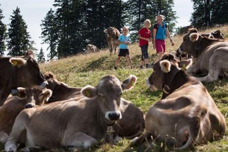 Isny NaturSommer Isny NaturSommer