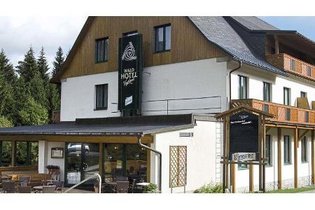Stellplatz am Waldhotel Vogtland