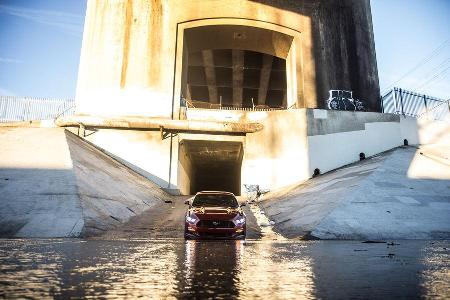 Ford Mustang GT 5.0 VCT V8, Frontansicht