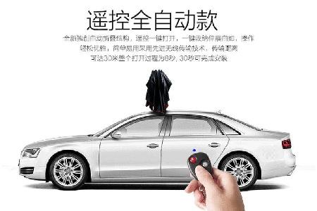 Mynew Car Umbrella