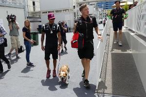 Hamiltons Baku-Vorbereitung