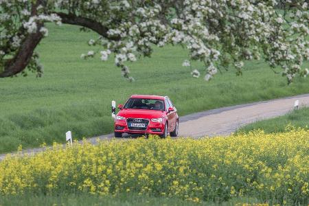 Audi A3 Sportback 1.6 TDI, Frontansicht