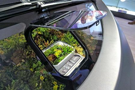 Rinspeed Oasis auf der CES 2017