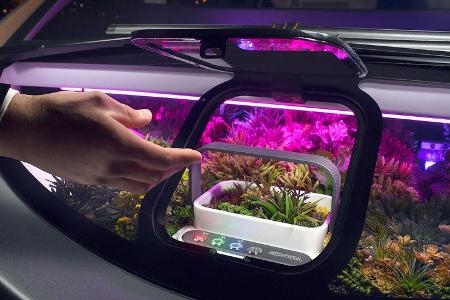 Rinspeed Oasis