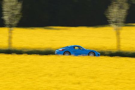 Studiotorino-Porsche Moncenisio, Seitenansicht