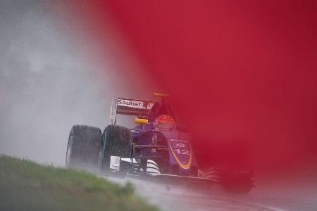 Danis Bilderkiste - Formel 1 - GP Ungarn 2016