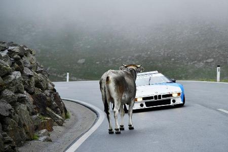 BMW-Legenden am Timmelsjoch, BMW-Klassiker, 07/2016