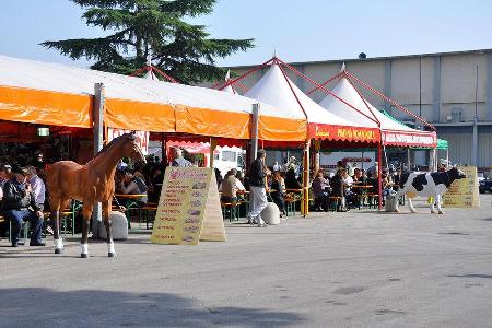 Auto e Moto dEpoca Padua