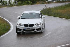 asv 1814, BMW 220i