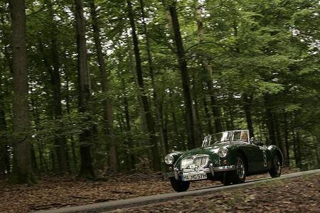 Vorderpfalz Classic 2006