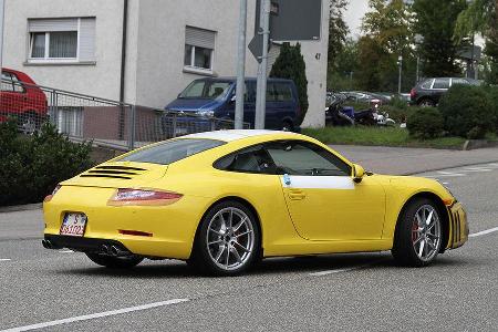 Porsche 911 Erlknig