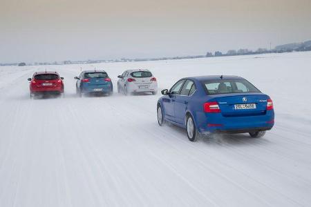 Skoda Octavia, Ford Focus, Hyundai i30, Opel Astra, Heckansicht