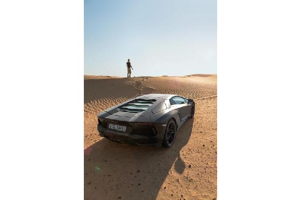 Lamborghini Aventador LP 700-4, Heckansicht