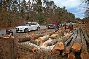 Die alte Waldgerade am Hockenheimring