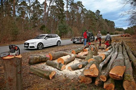 Waldgerade am Hockenheimring, Impression