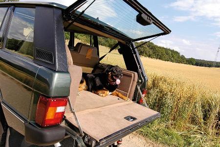 Range Rover 3.9 Vogue SE, Heckklappe
