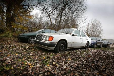 Mercedes-Benz 250 D, Frontansicht