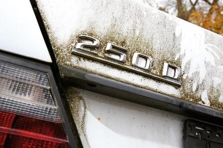 Mercedes-Benz 250 D, Typenbezeichnung