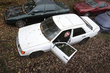 Mercedes-Benz 250 D, Draufsicht