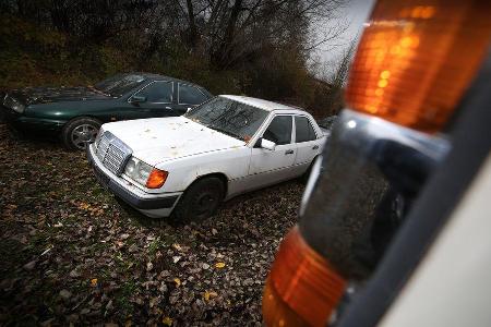 Mercedes-Benz 250 D, Frontansicht