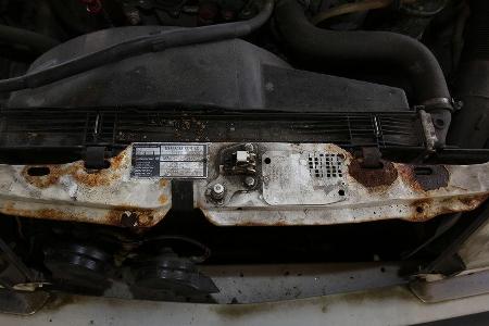 Mercedes-Benz 250 D, Schild, Rost