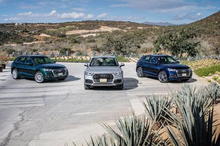 Audi Q5, Modelltypen