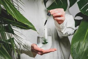 Wasser mit Chlorophyll-Tropfen ist der neueste Hype unter Beauty-Influencern.