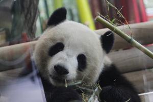 Top 10: Die schönsten Zoos Deutschlands