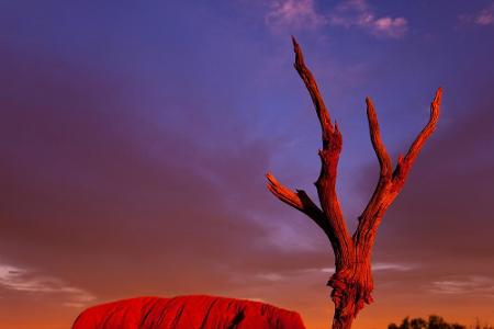 Der Ayers Rock, auch Uluru genannt, zählt zu den bekanntesten Wahrzeichen Australiens. Aufgrund seiner hohen spirituellen Be... Der Ayers Rock, auch Uluru genannt, zählt zu den bekanntesten Wahrzeichen Australiens. Aufgrund seiner hohen spirituellen Be...