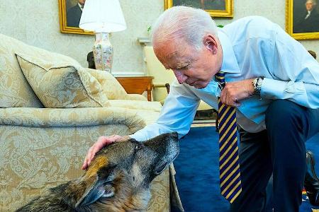Joe Biden und sein verstorbener Hund Champ. Joe Biden und sein verstorbener Hund Champ.