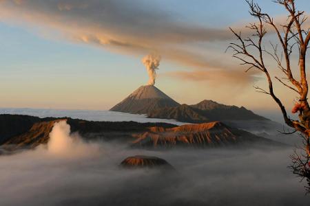 Im Nationalpark Bromo-Tengger-Semeru auf der Insel Java grummeln vier Vulkane vor sich hin. Der aktivste unter ihnen ist der... Im Nationalpark Bromo-Tengger-Semeru auf der Insel Java grummeln vier Vulkane vor sich hin. Der aktivste unter ihnen ist der...