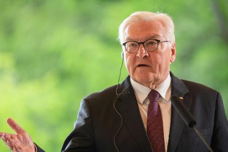 Bundespräsident Steinmeier wünscht DFB-Elf viel Erfolg