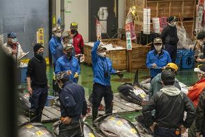 Tokio: Ehemaliger Fischmarkt wird zum Impfzentrum