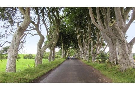 Irland, Reise