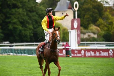 Galopp: Torquator Tasso setzt Rennkarriere fort Galopp: Torquator Tasso setzt Rennkarriere fort