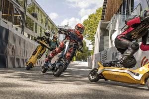 Die kleinen Biester schaffen über 100 km/h