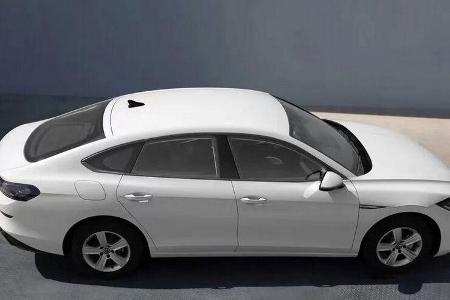 VW Lamando