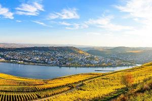 Genussregion Rheingau: Warum sich die Reise dorthin lohnt