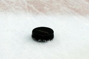 NHL: Kühnhackl und Greiss mit Islanders in den Play-offs